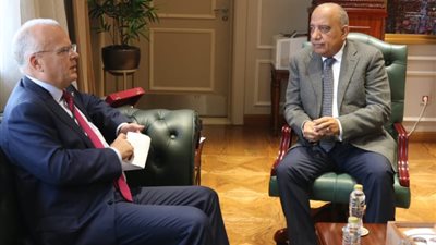 وزير الكهرباء: الاستفادة من الخبرات السويدية فى توطين صناعة مهمات الطاقة الشمس