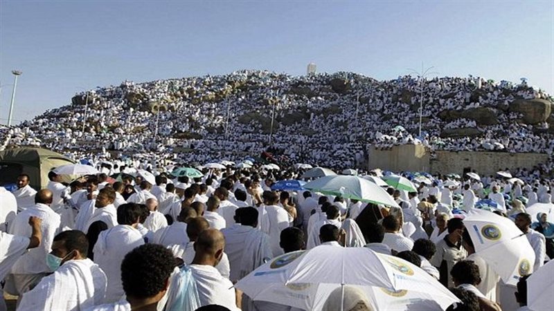 أسعار الحج
