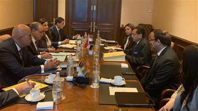 وزير الخارجية والهجرة يلتقي مدير مجموعة شركات 