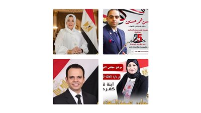 15 مرشحًا يتنافسون على ٣ مقاعد بدائرة الخانكة والخصوص والعبور