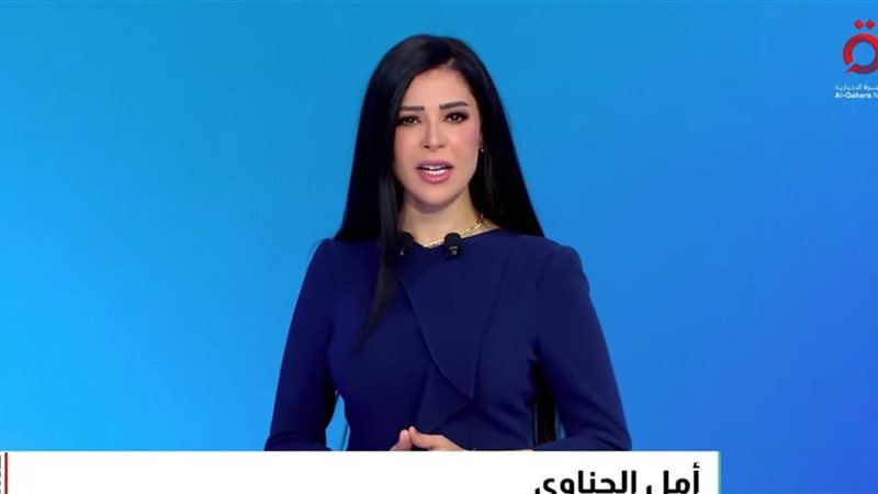 أمل الحناوي
