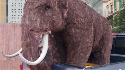 رغم انقراضه.. حيوان الماموث يثير الجدل بعد ظهوره في شوارع الإسكندرية