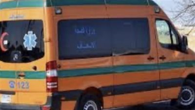 بينهم أطفال.. إصابة 4 أشخاص إثر انقلاب تروسيكل بالدقهلية