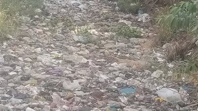 كارثة بيئية تضرب قرية الكاشف الجديد.. الأهالي يستغيثون من تراكم المخلفات 