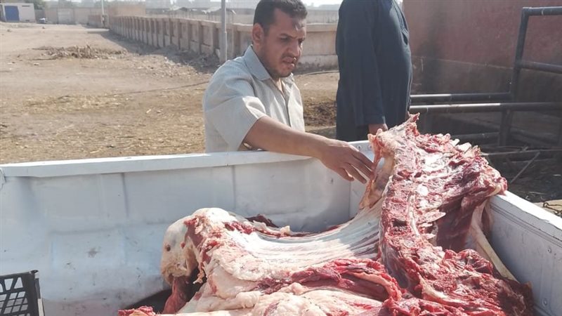 خلال الحملة