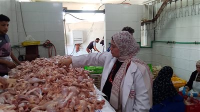 ضبط 15 طن دواجن مجمدة مجهولة المصدر فى حملات تفتيشية ببلبيس