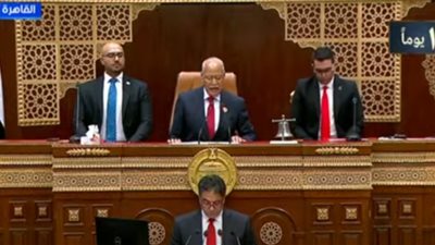 مجلس الشيوخ يفتتح دور الانعقاد الأول من الفصل التشريعي الثاني|بث مباشر