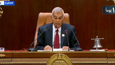 رئيس مجلس الشيوخ: مصر شعبا وقيادة تعلم قدر المجلس العريق الذي جاوز القرنين