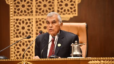 بدء الجلسة العامة لمجلس الشيوخ لانتخاب اللجان النوعية 