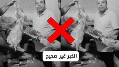 المكتب الإعلامي لمحافظ البحيرة ينفي شائعة ضبط محل يبيع لحوم كلاب بالبحيرة