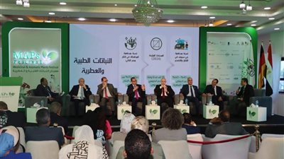 بني سويف تفتح آفاقًا جديدة لتصنيع النباتات الطبية والعطرية في مهرجانها الرابع