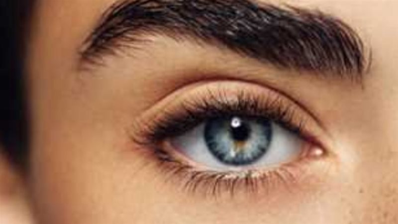 بدائل الميكروبلادنج