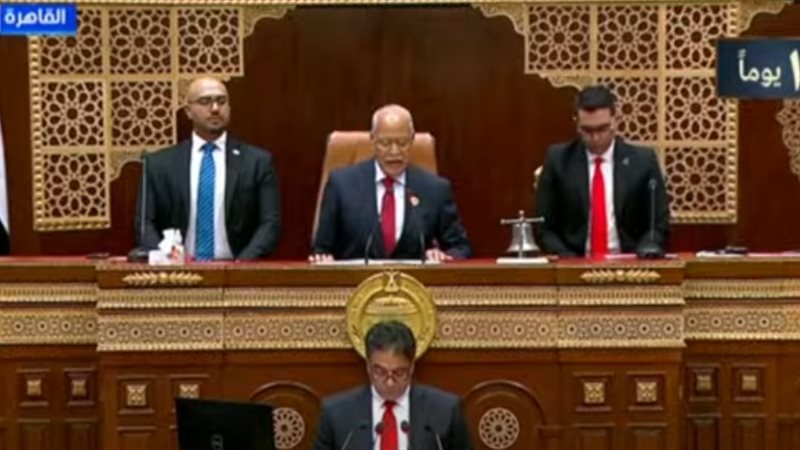 مجلس الشيوخ