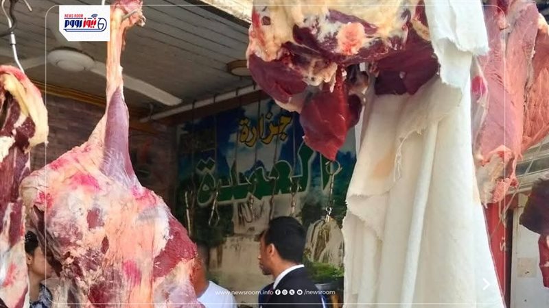 حملات تفتيشية بالمنيا