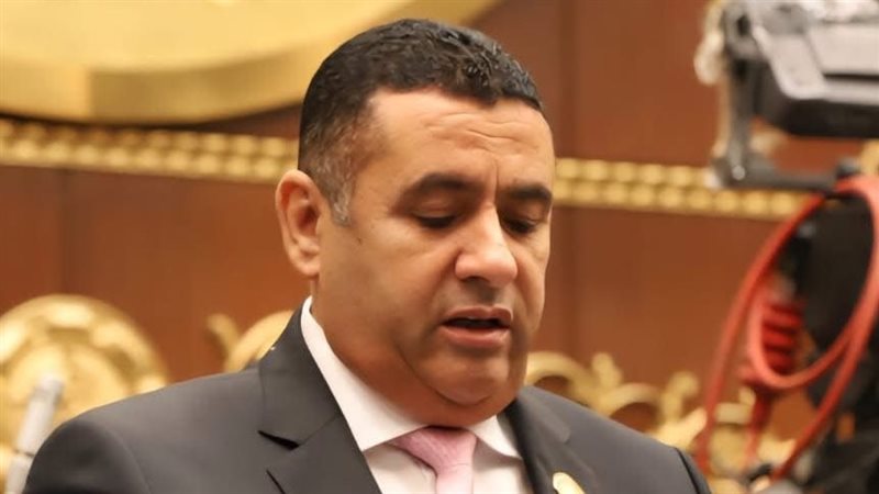 النائب أسامة مدكور