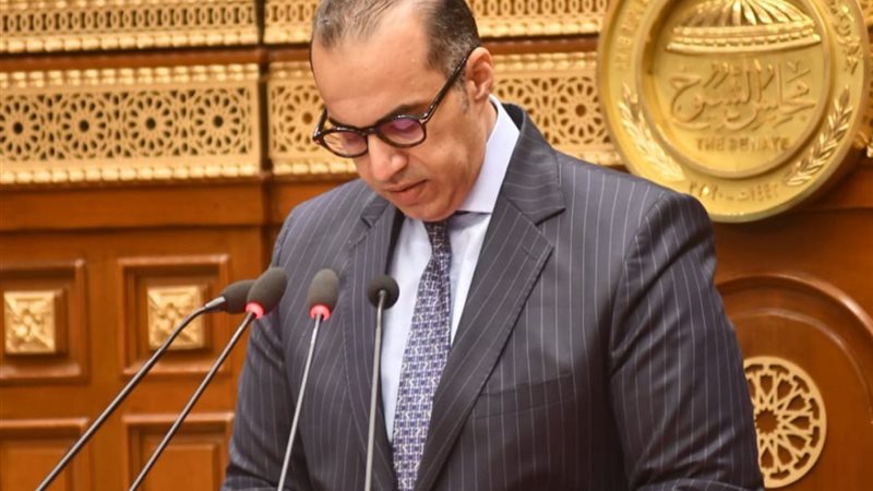 المستشار محمود فوزي