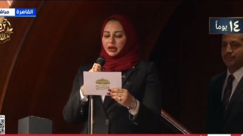 النائبة شيرين صبري