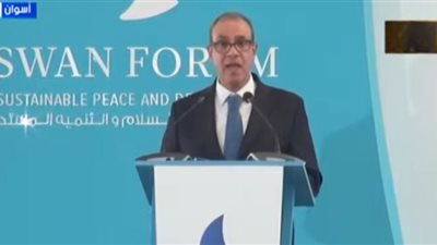 وزير الخارجية: أفريقيا تثبت قدرتها على مواجهة التحديات بمواردها الحيوية