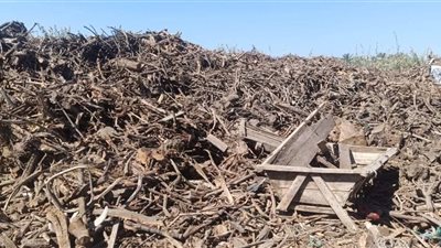 أدخنة مكامير الفحم تخنق أهالي دمياط الجديدة وسط غياب الرقابة البيئية