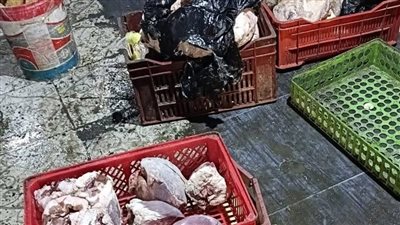 ضبط 303 كيلو لحوم وأسماك فاسدة قبل طرحها في أسواق الغربية 