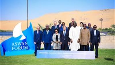 خبير دولي: مصر تقود إفريقيا نحو السلام والتنمية بمقاربة شاملة