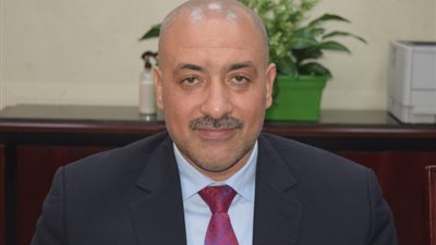 شعبة الخضراوات تكشف موعد انخفاض أسعار الطماطم في الأسواق | خاص