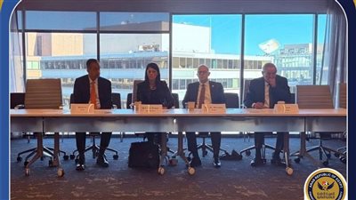 الرقابة المالية تستعرض تجربة مصر في التحول الرقمي وريادة الأعمال