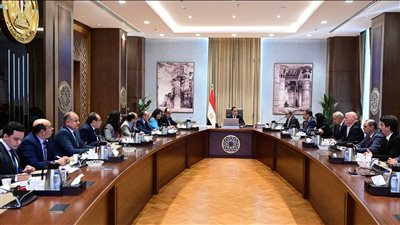 مدبولي: نحرص على حماية الاستثمارات الضخمة للدولة ومنع تدهور الأصول مجددًا