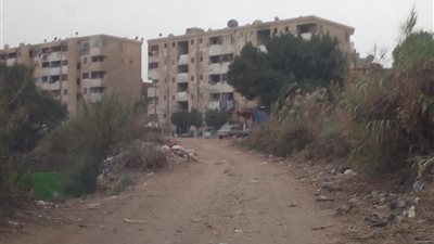 كفر الجزار.. قصة قرية على ضفاف النيل تعاني الإهمال وانتشار الأمراض