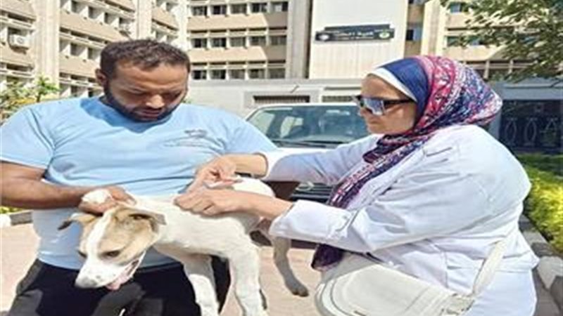 تطعيم أحد الكلاب