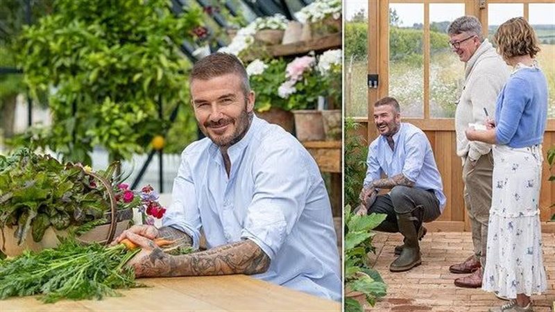 حديقة ديفيد بيكهام