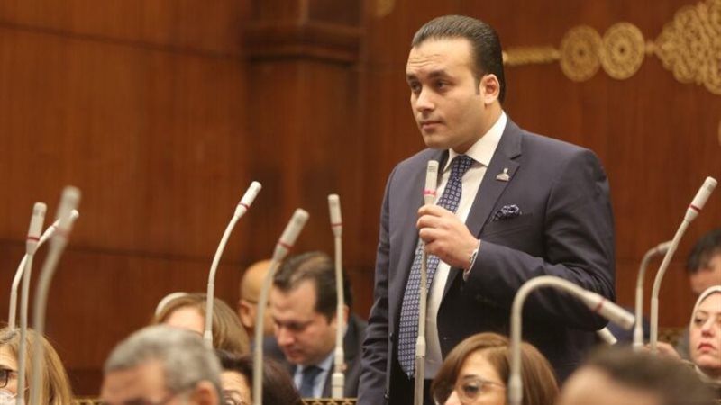 النائب عمرو فهمي،