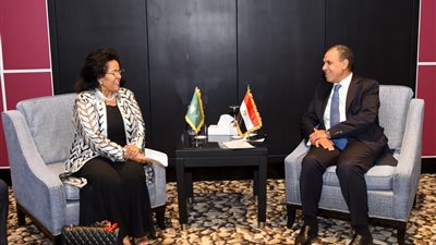وزير الخارجية يبحث مع مديرة وكالة النيباد مشروعات البنية التحتية في أفريقيا