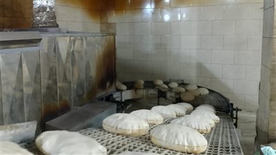 تموين المنوفية.. تحرير مخالفات وضبط كميات دقيق بلدي مدعم فى قويسنا 