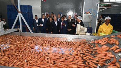 كامل الوزير يفتتح مصنعاً لتصدير الحاصلات الزراعية و3 خطوط إنتاج دوائية