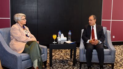 وزير الخارجية يلتقي مبعوثة الاتحاد الأوروبي للقرن الأفريقي