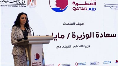 مايا مرسي: مصر كانت وستظل قلب العروبة النابض بالقضية الفلسطينية 