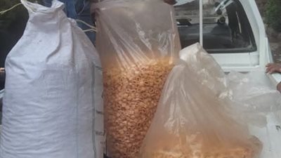 تحرير 168 محضرًا مخالفات ضد مخابز و24 لتجار تموينيين ببني سويف