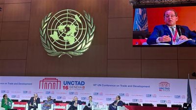 وزير المالية: مصر تدعم 