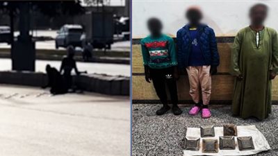 بعد نشر «نيوز رووم».. ضبط طفلتين لسرقة أجزاء من المطبات الصناعية بطريق الواحات