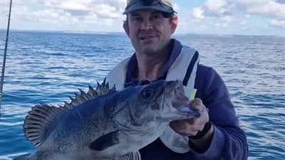  لأول مرة منذ 20 سنة.. اصطياد سمكة نادرة تعيش في أعماق البحار