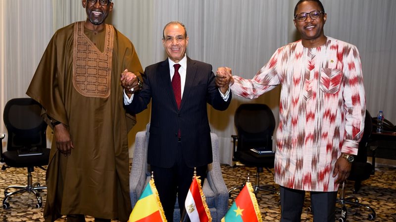 عبدالعاطي ونظيريه