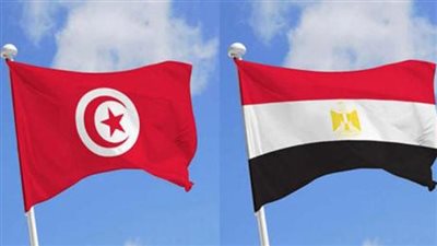 434 مليون دولار حجم التجارة بين مصر وتونس في 2024.. ونمو 15% عن 2023
