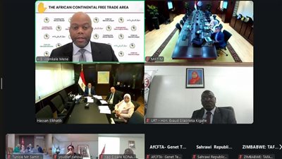 الخطيب: مصر تسعى إلى تسريع تنفيذ الاتفاقية وترسيخ موقع القارة الإفريقية