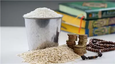 فضل إخراج الزكاة في موعدها وتأثيرها على الإنسان.. أمينة الفتوى تُوضح