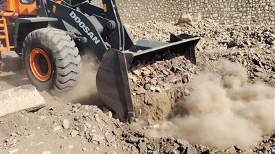 بيطري الأقصر يُعدم عجلًا داخل مجزر الحبيل بعد إصابته بمرض الصفراء