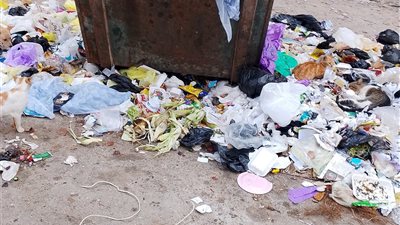 “الريحة بقت خانقة”.. أزمة قمامة تضرب منطقة الأعصر وتهدد صحة الأطفال والسكان