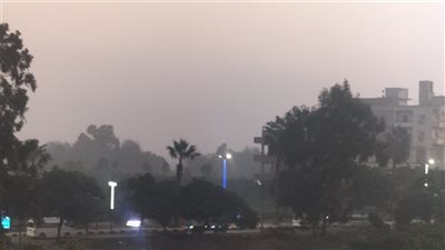 فتح بوابات الطريق الإقليمي بالمنوفية بعد إغلاقها ساعتين ونصف بسبب الشبورة