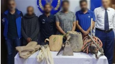 ضبط «كنز التبين».. سقوط عصابة التنقيب عن الآثار قبل الوصول إلى السر المدفون