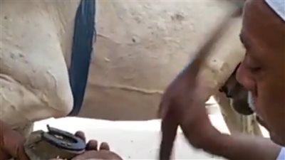 مهنة في طي النسيان.. صناع حدوة الحيوانات في قنا يشكون ارتفاع الاسعار